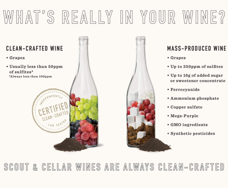 scout and cellar wine facts